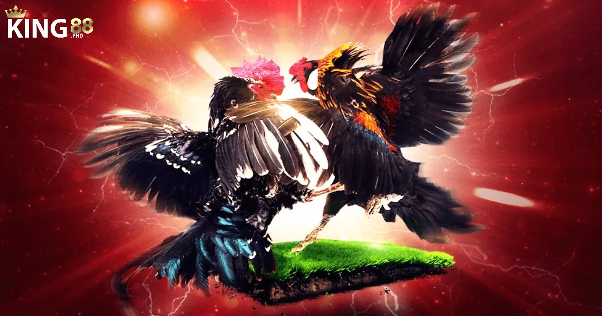 Cập nhật lịch thi đấu đúng chuẩn và theo dõi màn so tài đầy kịch tích